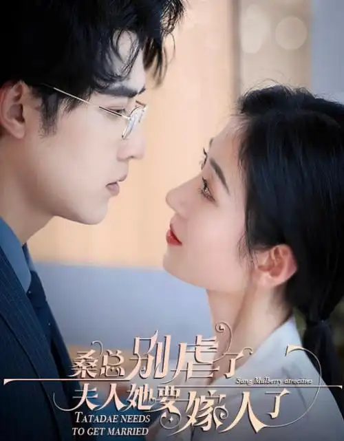 热播剧集在线观看 白塔之下 高清海报